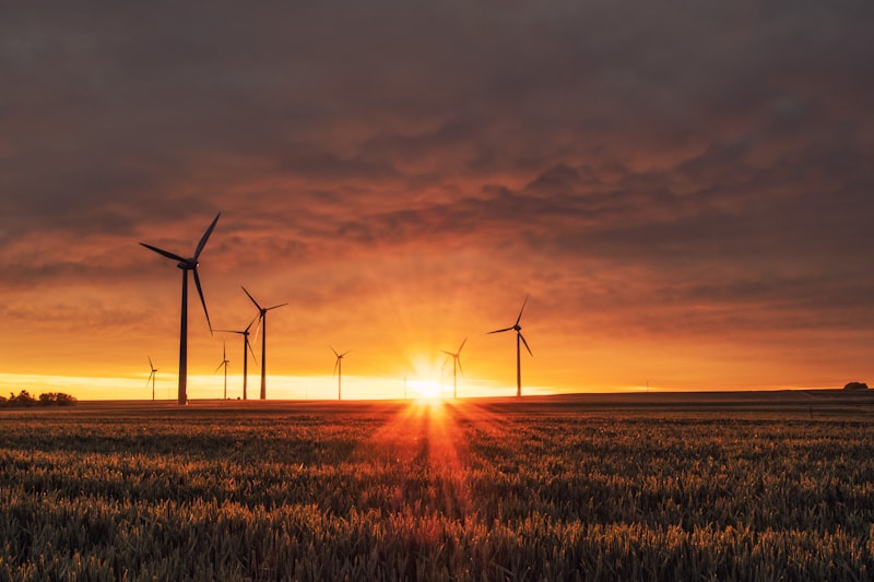Ecossistema mineiro preservado através da utilização de fontes de energia renováveis